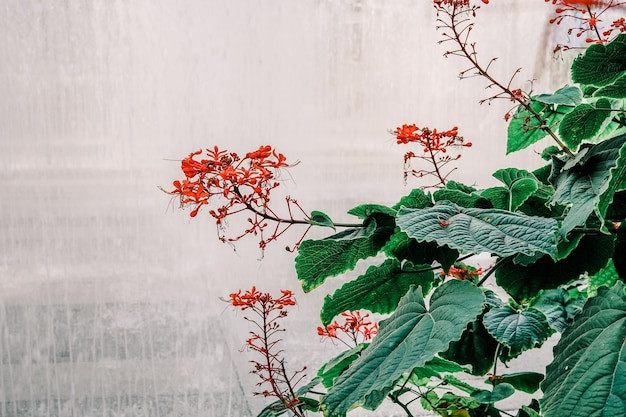 Ava Zhou: The Visionary Painter